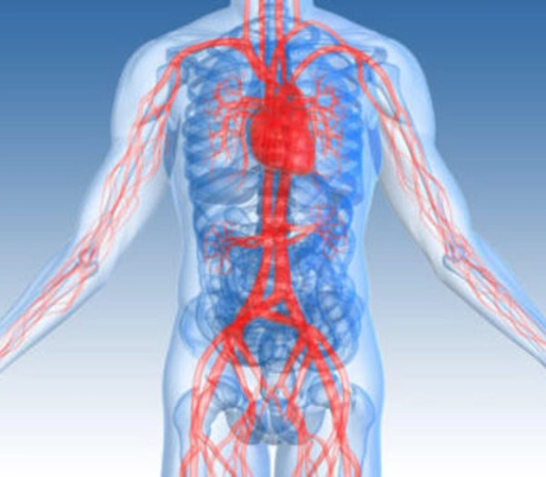 Angiologia e Cirurgia Vascular